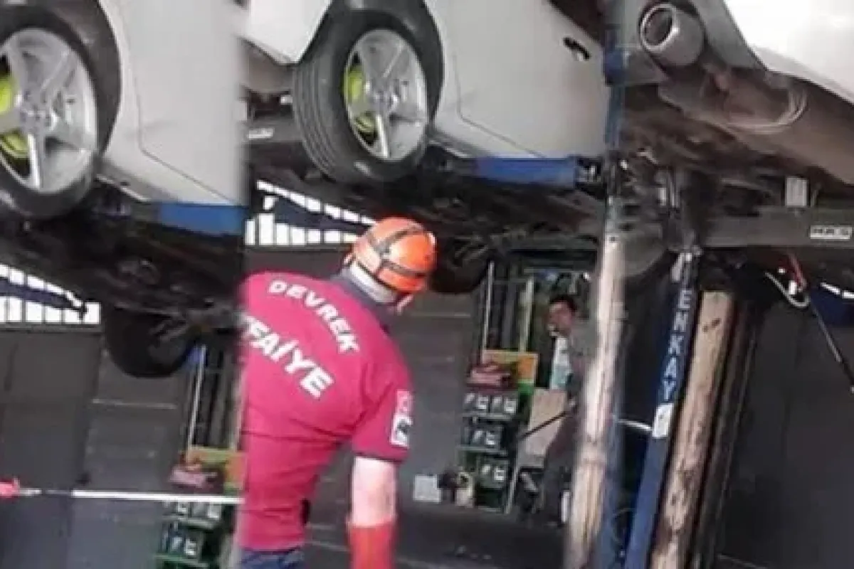 Bu da yılan kurtarma operasyonu