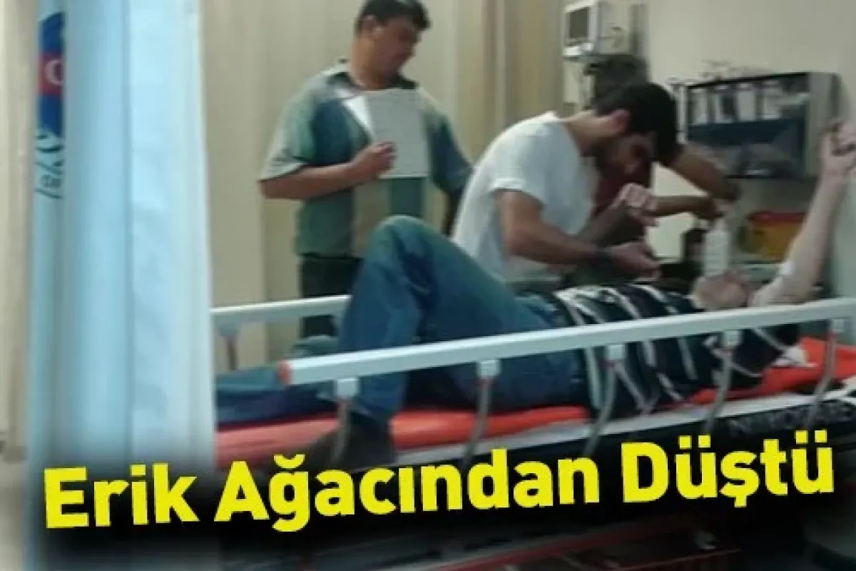 Erik Ağacından Düştü