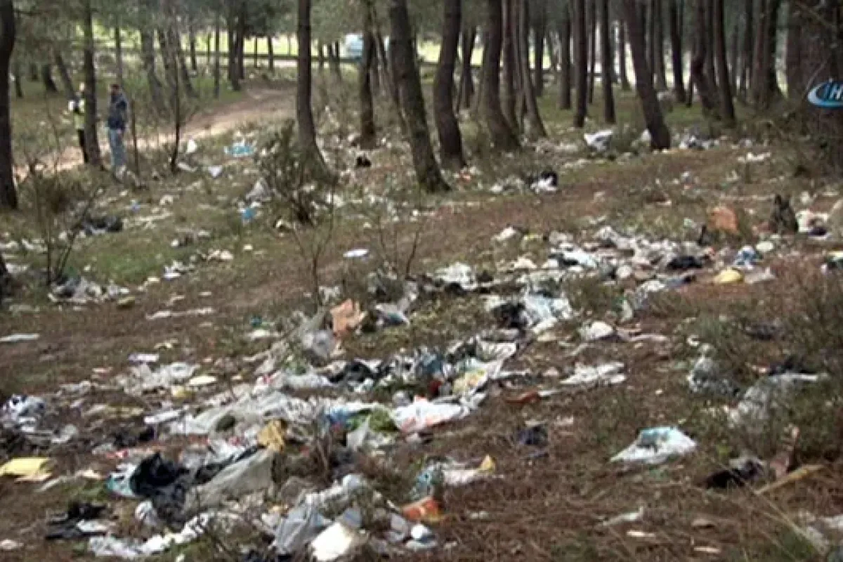 Kartal'da ormanlık alanda çevre katliamı havadan görüntülendi