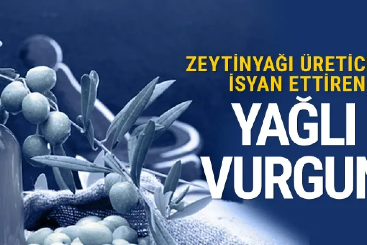 Zeytinyağı fiyatları üreticinin canını sıkıyor