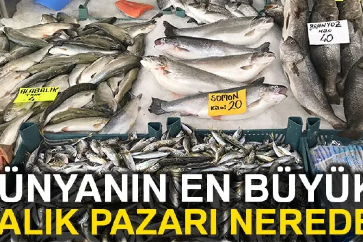 Dünyanın en büyük balık pazarı nerede ?