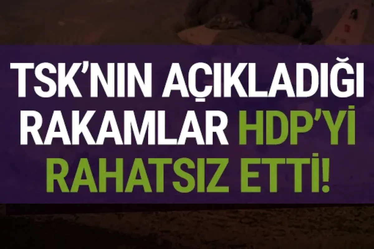 TSK'nın açıkladığı rakamlar HDP'yi rahatsız etti!