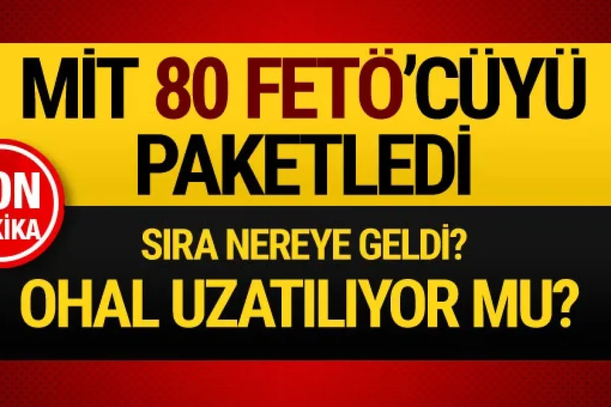 Flaş! MİT 80 FETÖ'cüyü yurtdışında paketleyip getirdi...