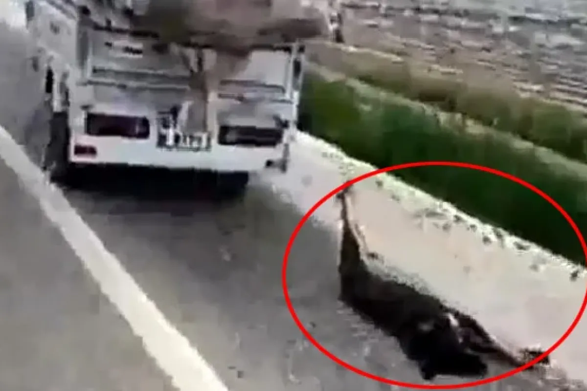 Sosyal medya ayağa kalktı! Bu nasıl insan
