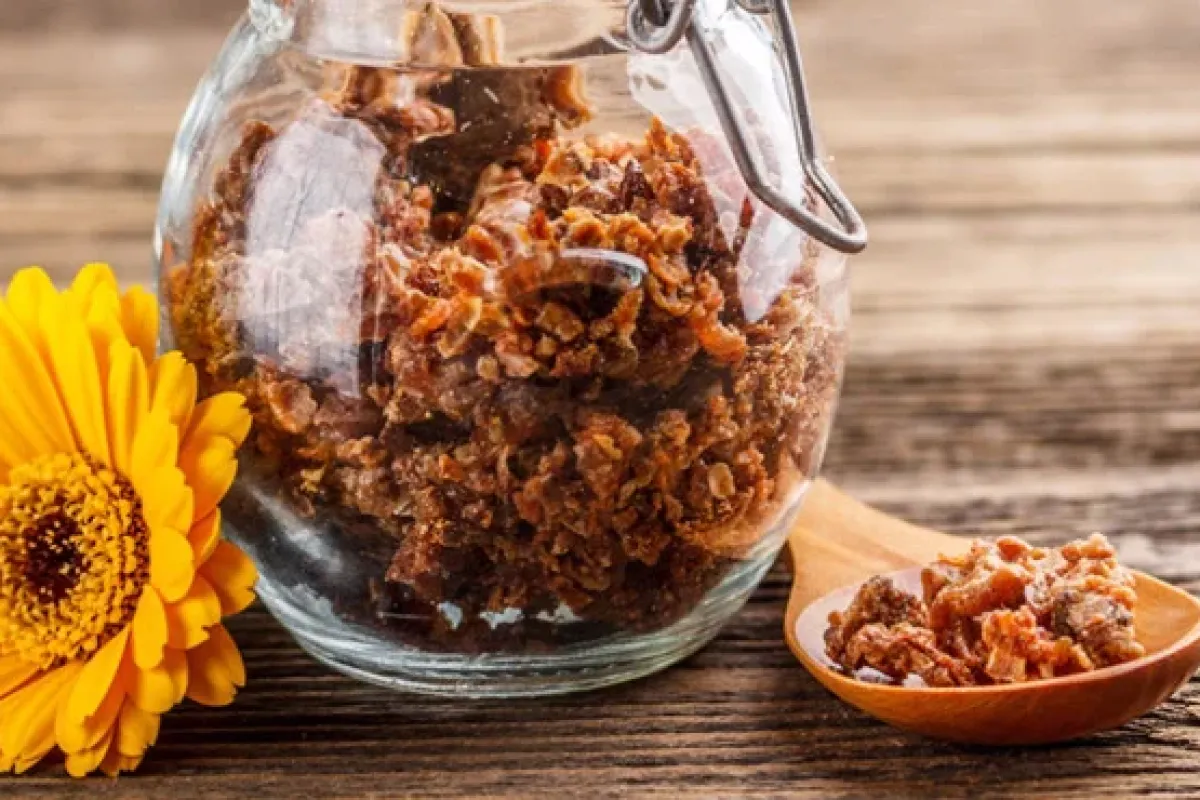 Propolis nedir? Propolis'in faydaları inanılmaz!