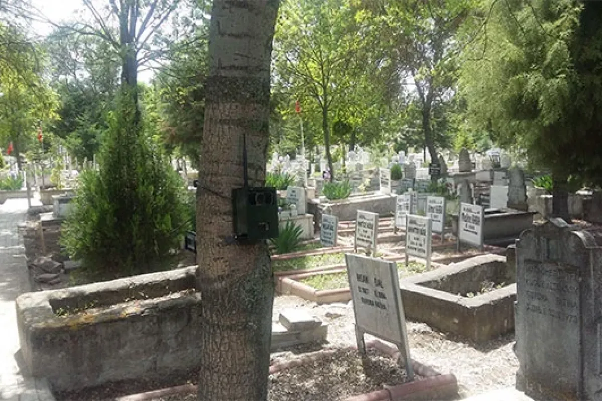 Gizemli kız için fotokapan kuruldu