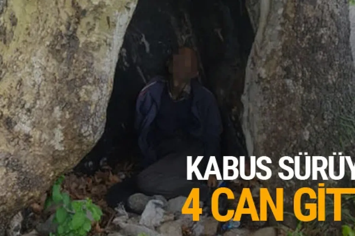 Kabus sürüyor: 4 ölü 2'si ağır 4 yaralı