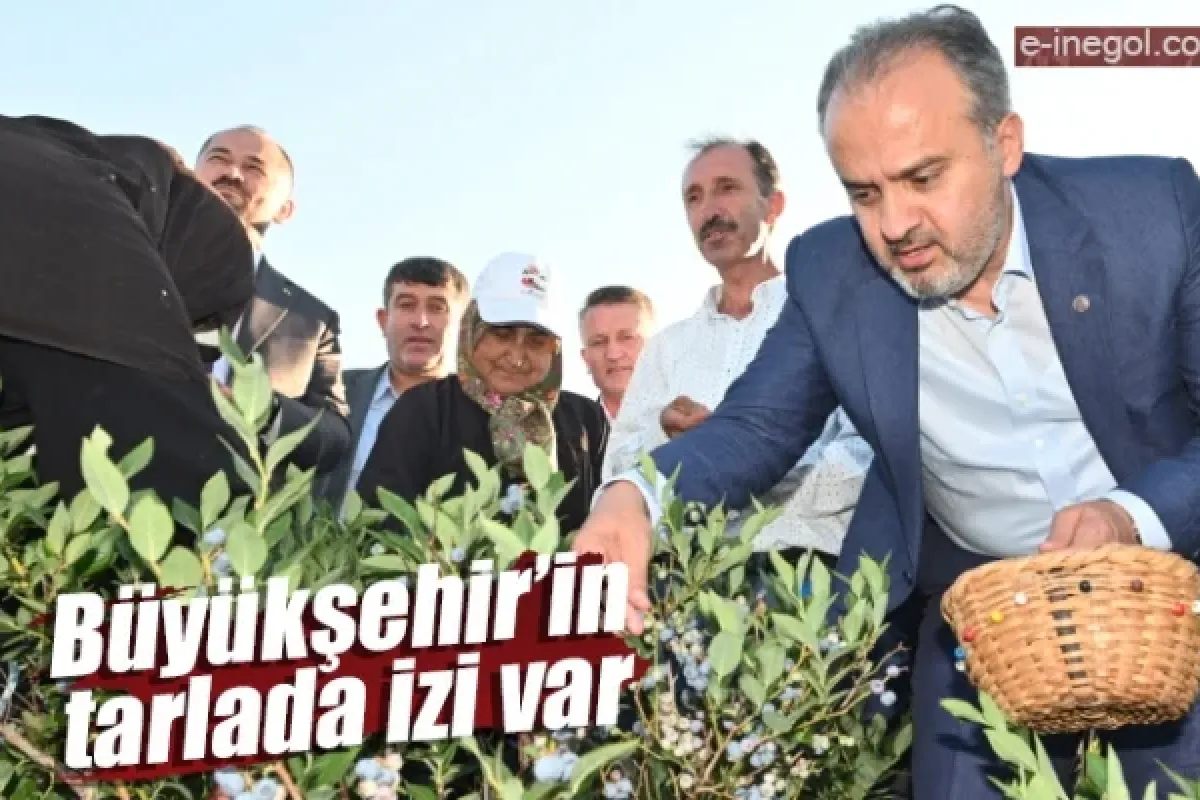 Büyükşehir’in tarlada izi var