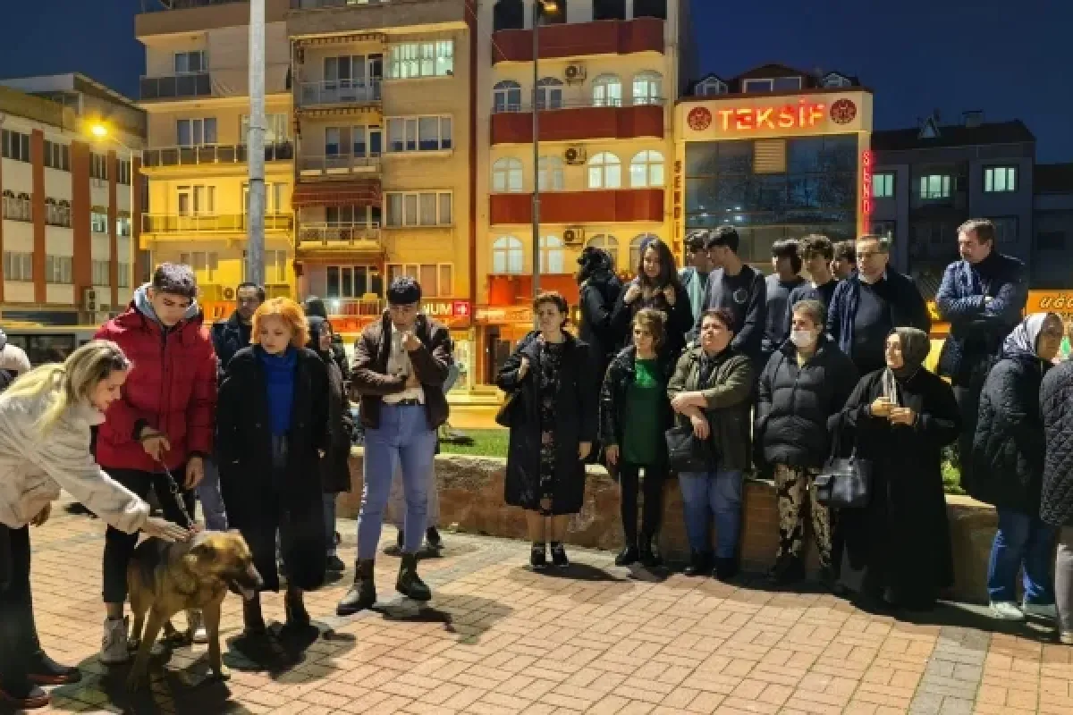 Hayvanseverlerden köpek katliamına tepki