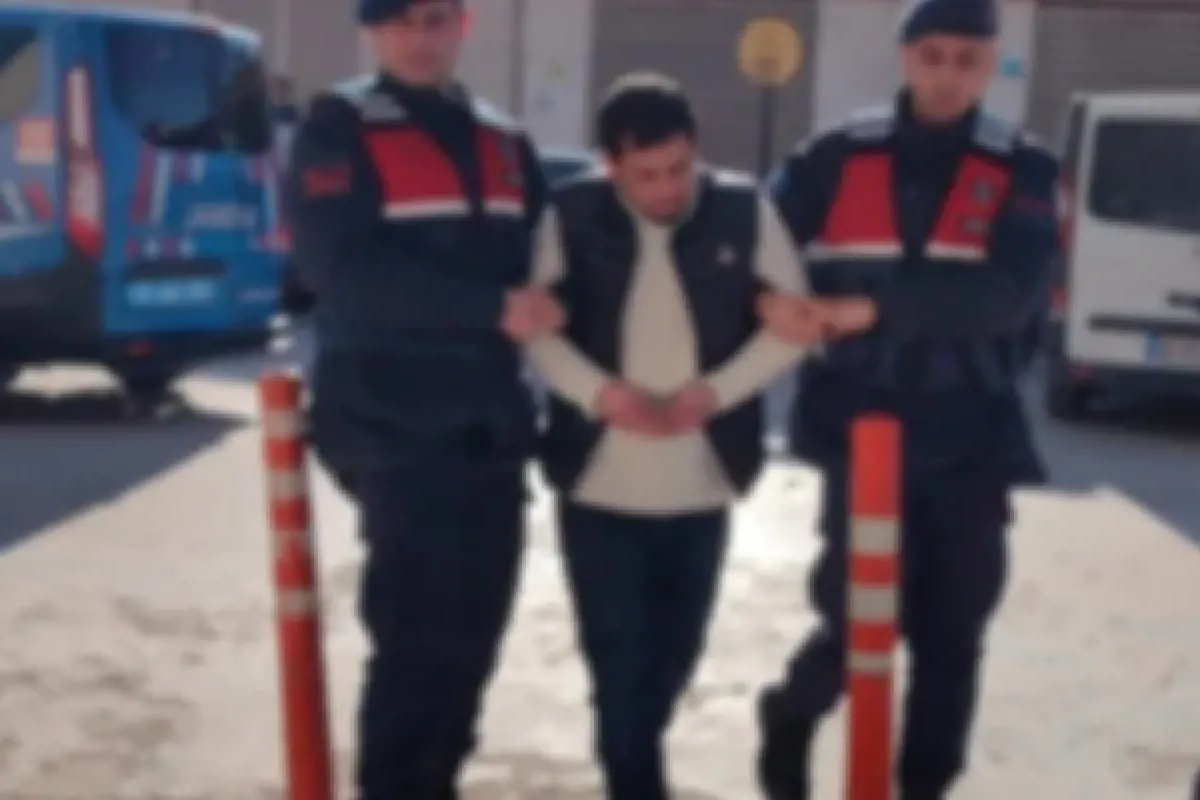 Köpekleri av tüfeği ile vuran şahıs serbest