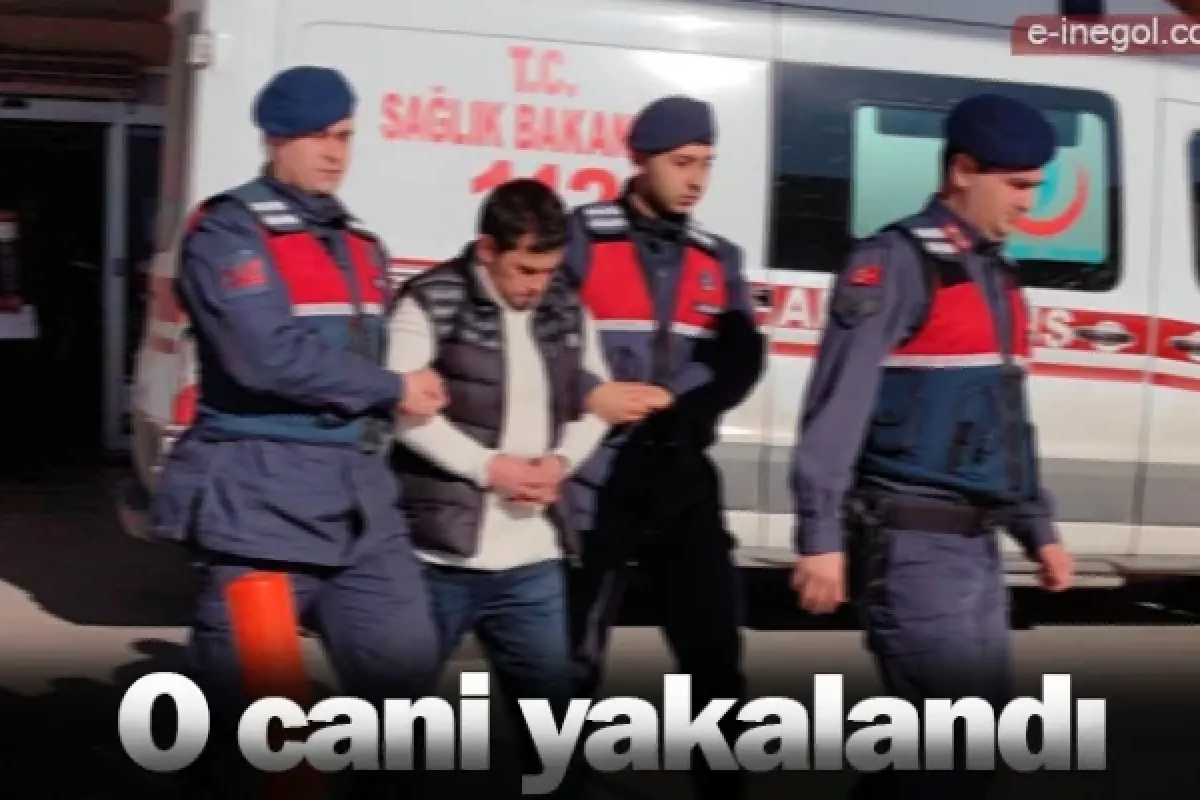 O cani yakalandı