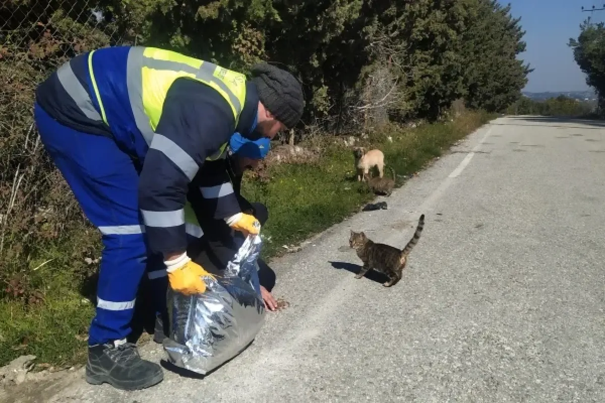 Nerede bir can varsa, orada Bursa var