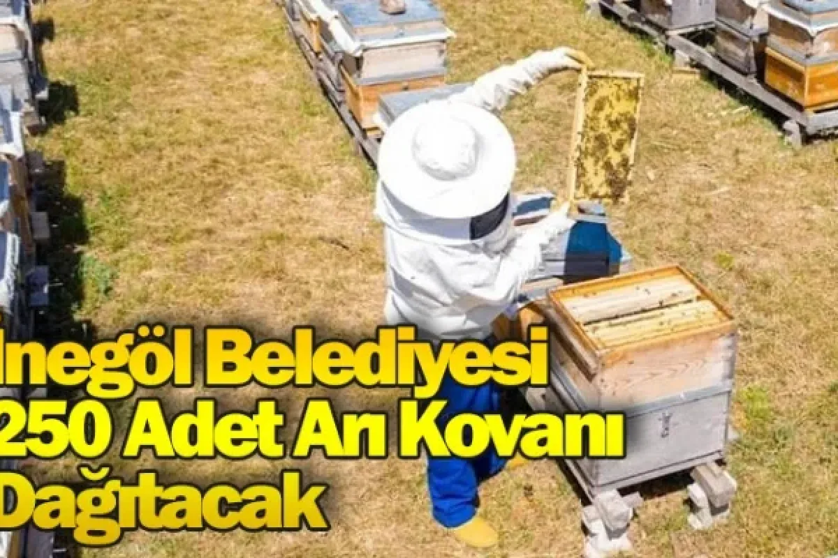İnegöl Belediyesi 250 Adet Arı Kovanı Dağıtacak