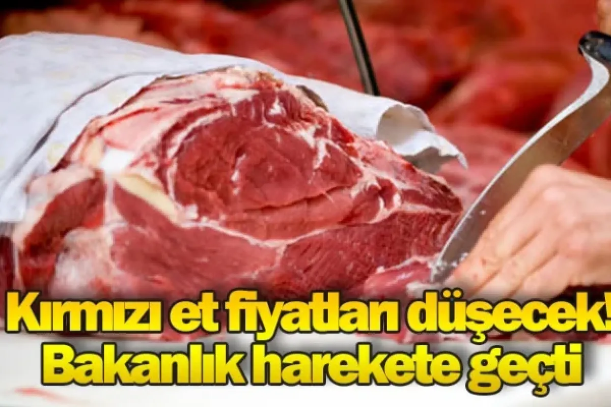 Kırmızı et fiyatları düşecek! Bakanlık harekete geçti
