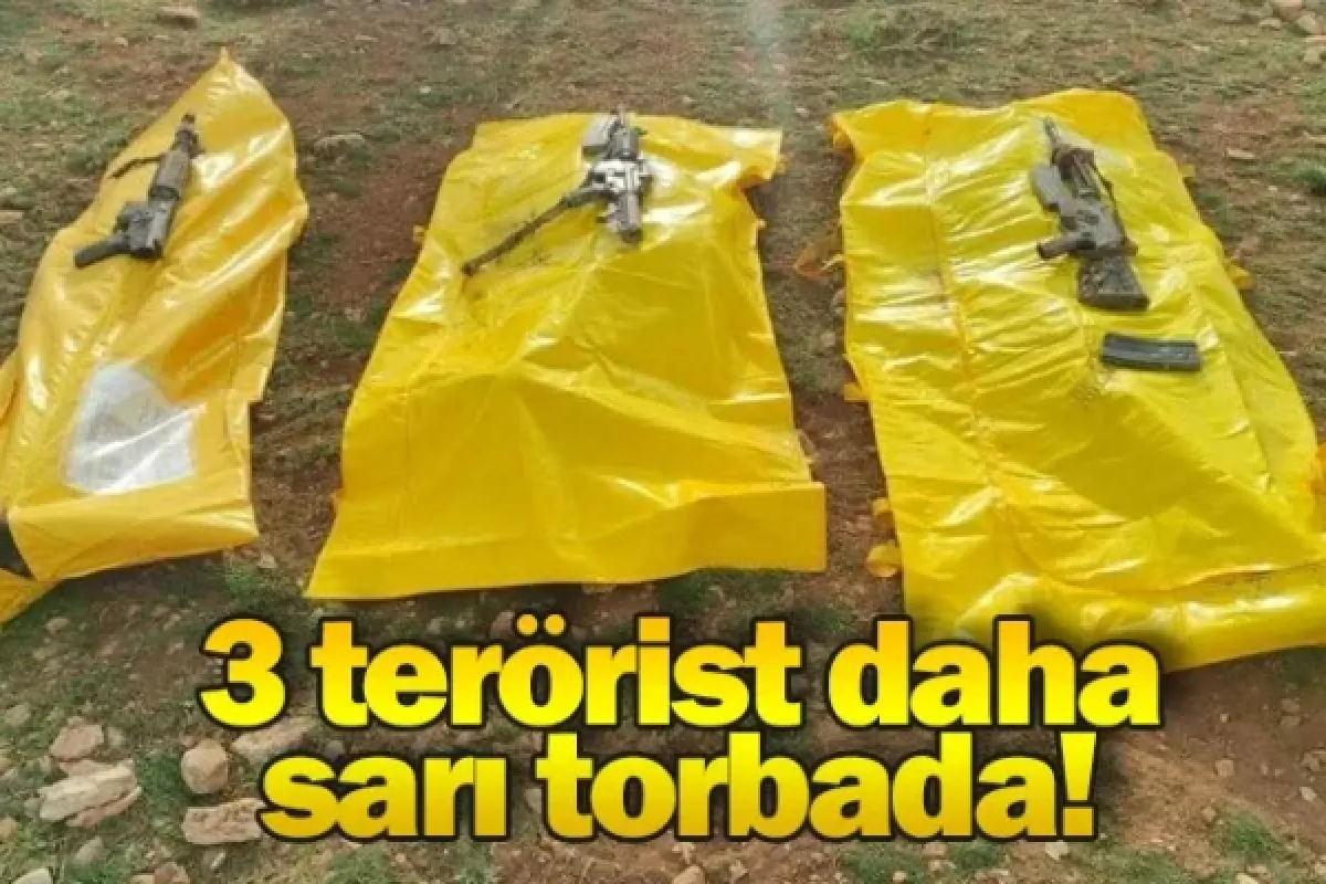 Bakan Soylu duyurdu: 3 terörist daha sarı torbada