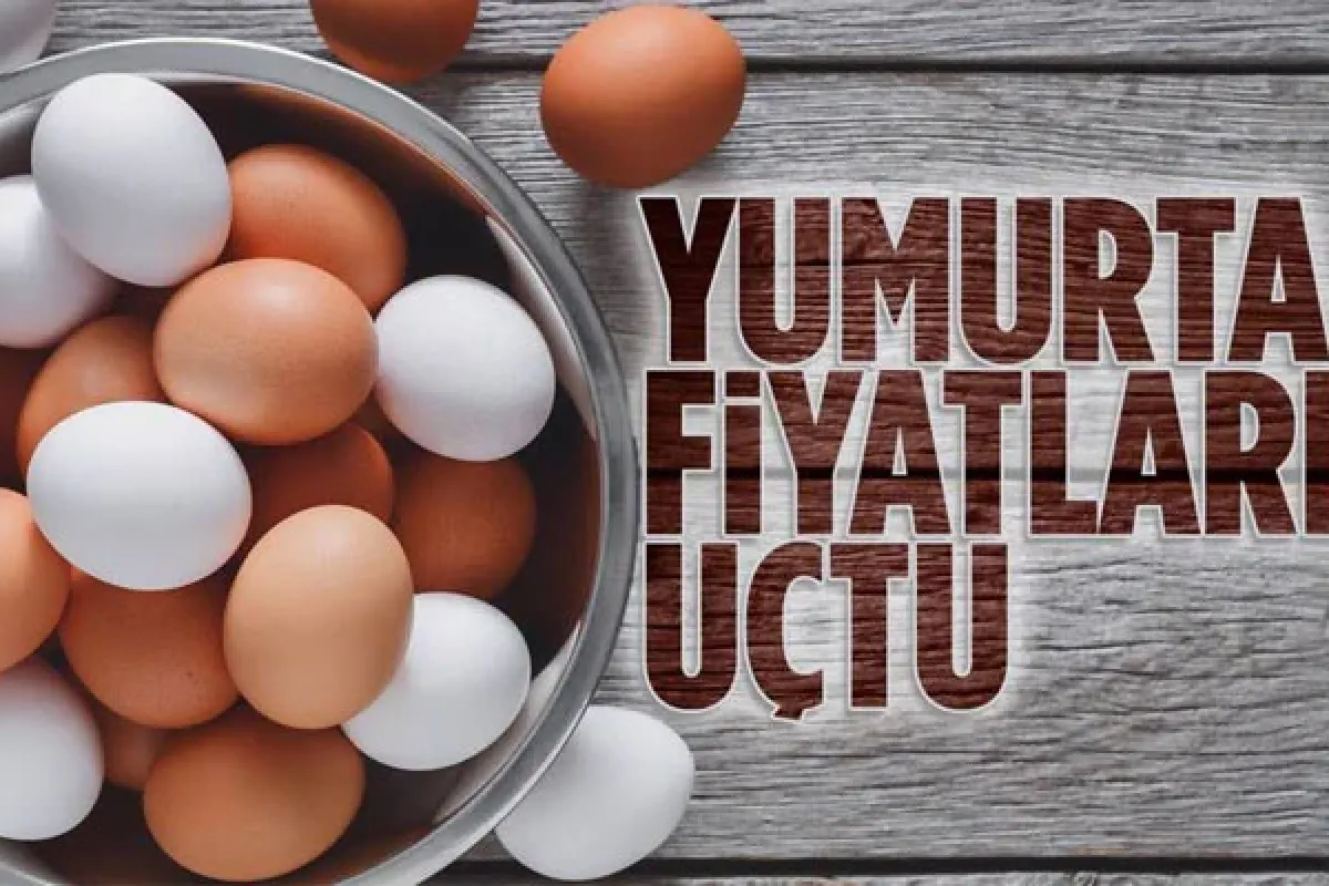 Yumurta fiyatları uçtu