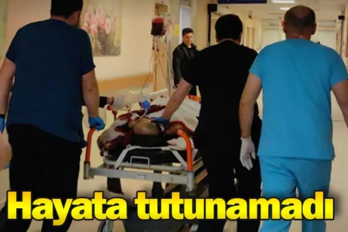 Hayata tutunamadı