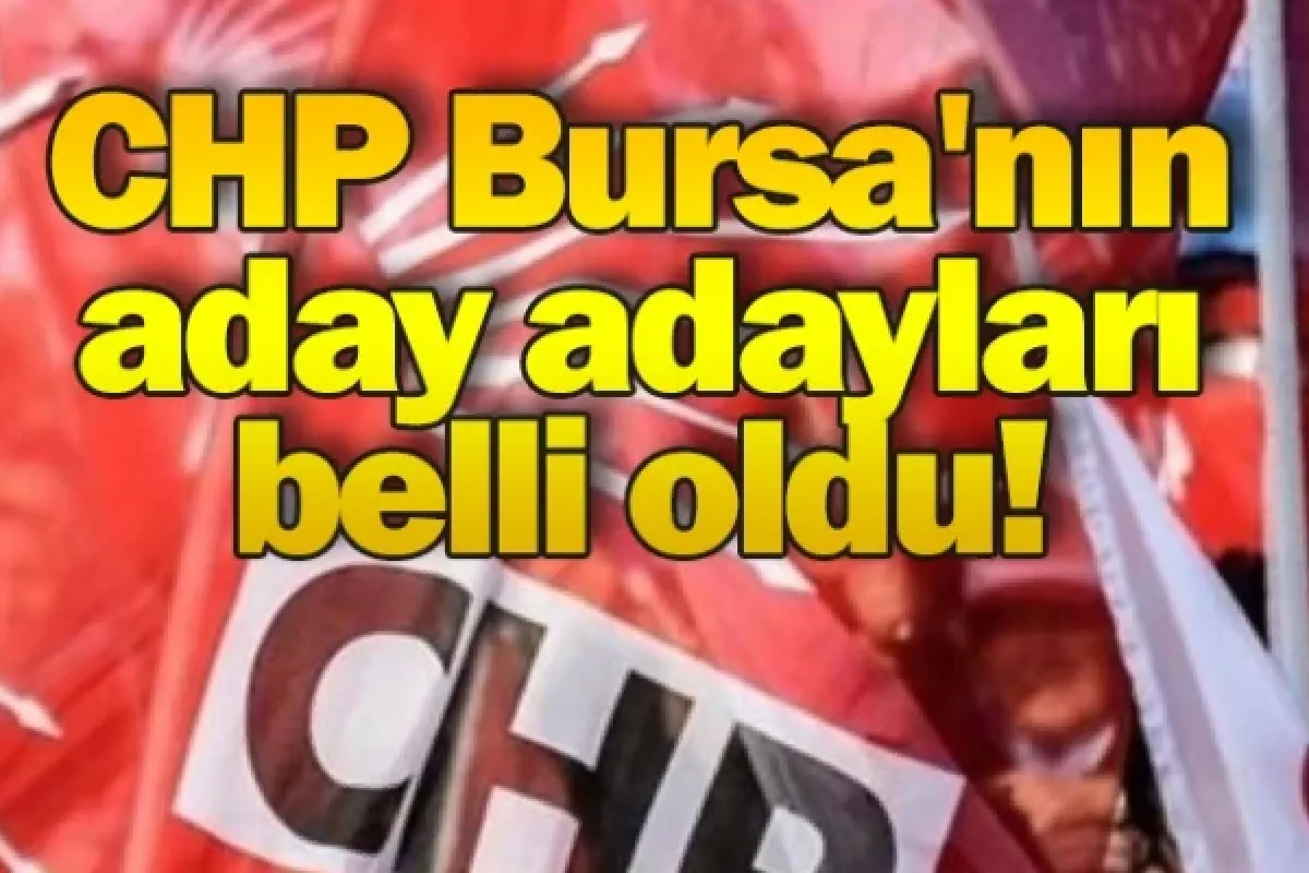 CHP Bursa'nın aday adayları belli oldu!