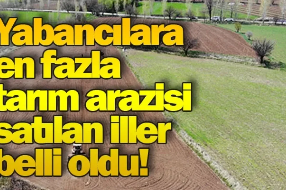 Yabancılara en fazla tarım arazisi satılan iller belli oldu!