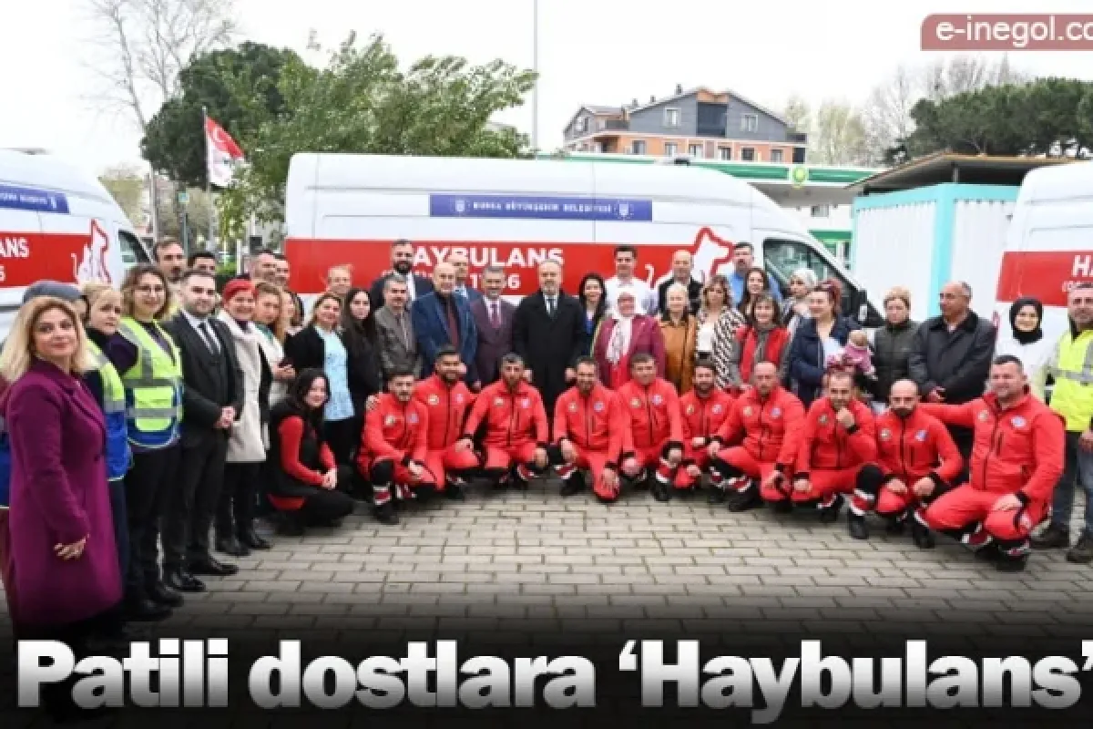 Patili dostlara ‘Haybulans’