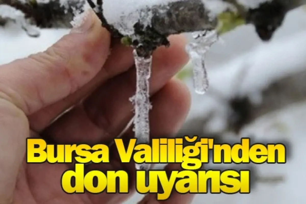 Bursa Valiliği'nden don uyarısı