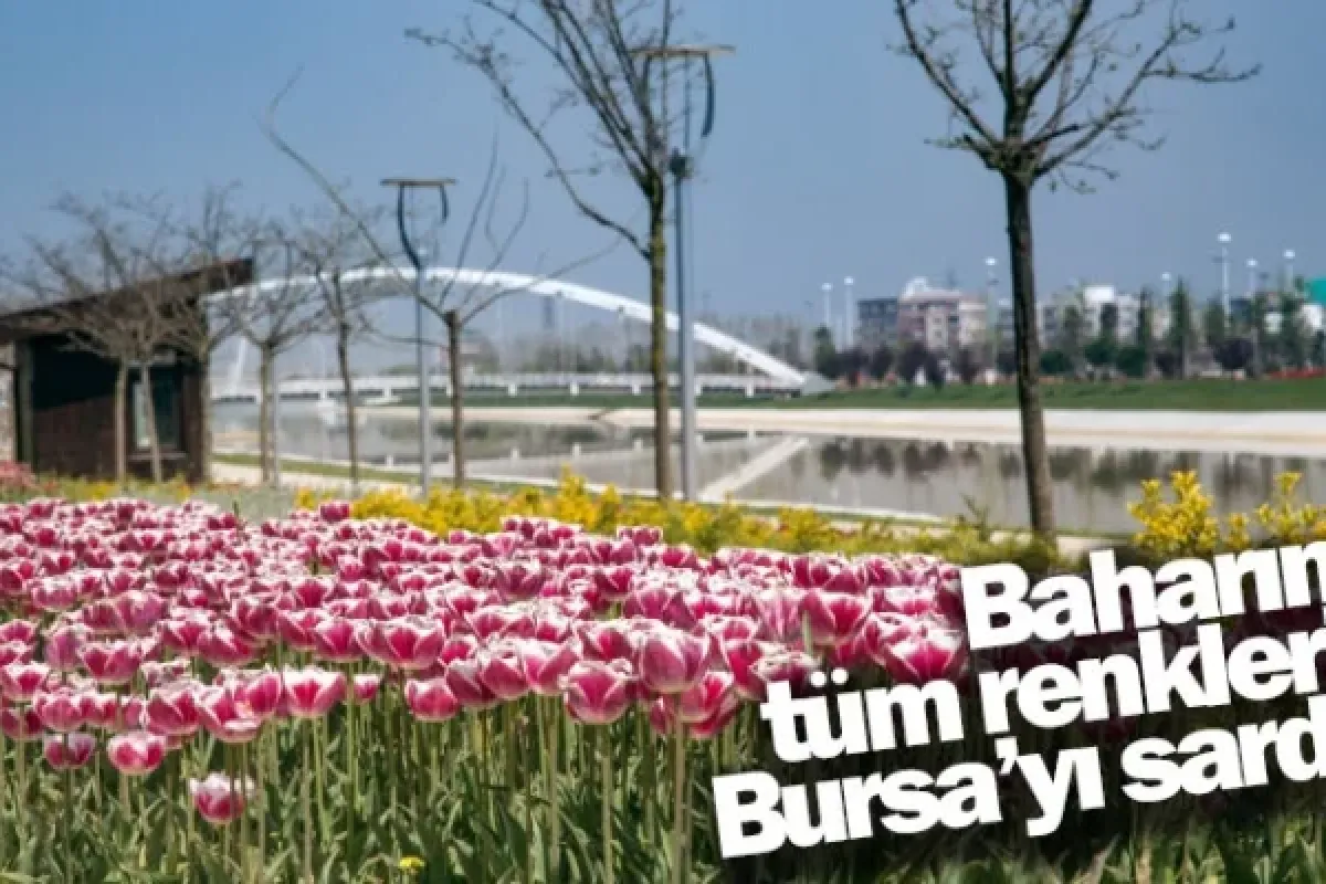 Baharın tüm renkleri Bursa’yı sardı