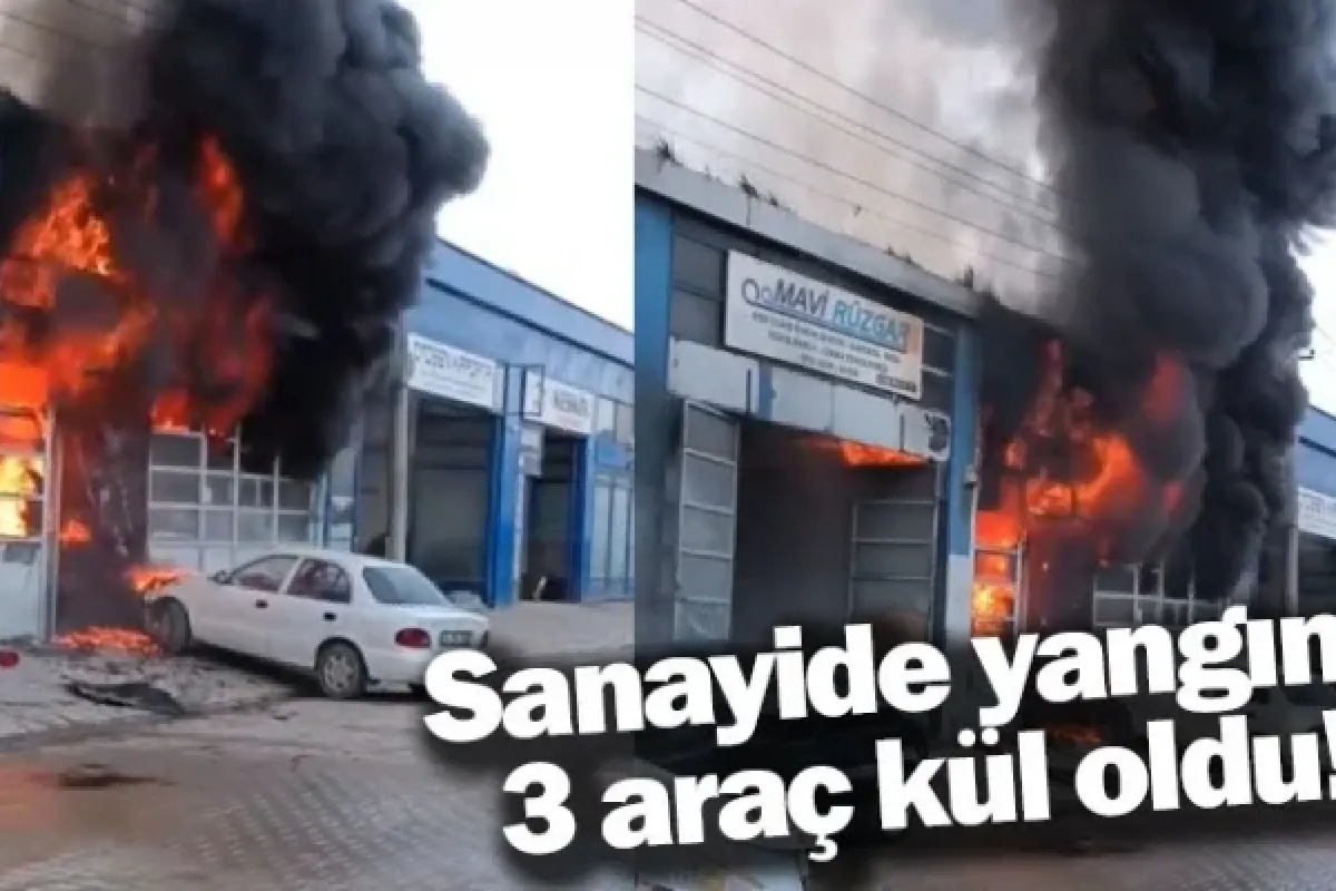 Sanayide yangın, 3 araç kül oldu