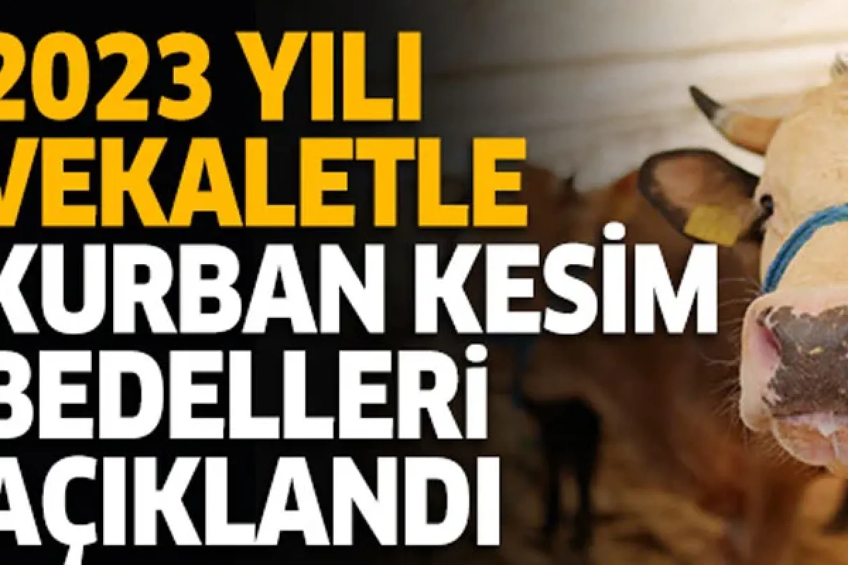 2023 yılı vekaletle kurban kesim bedelleri açıklandı