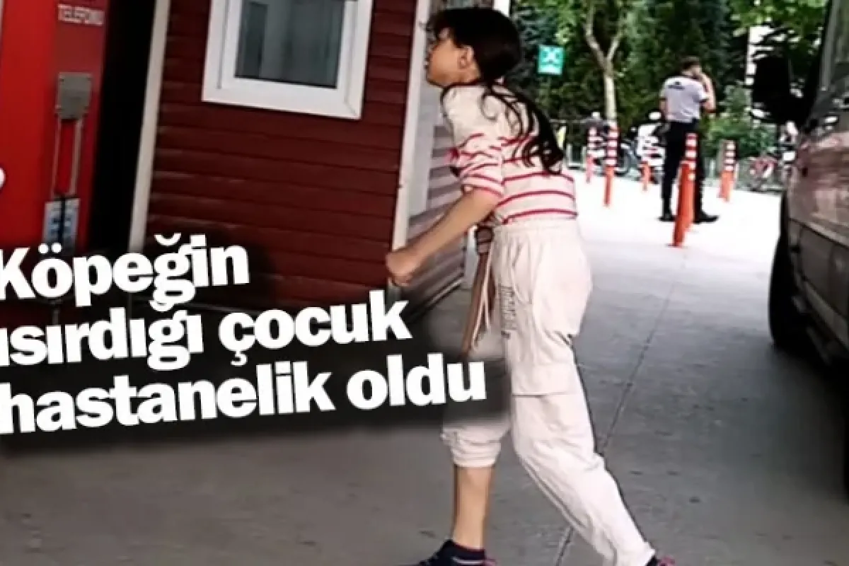 Köpeğin ısırdığı çocuk hastanelik oldu
