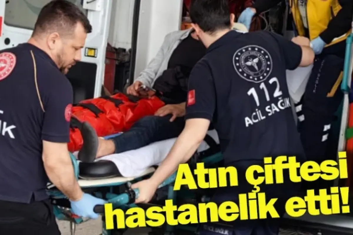Atın çiftesi hastanelik etti!