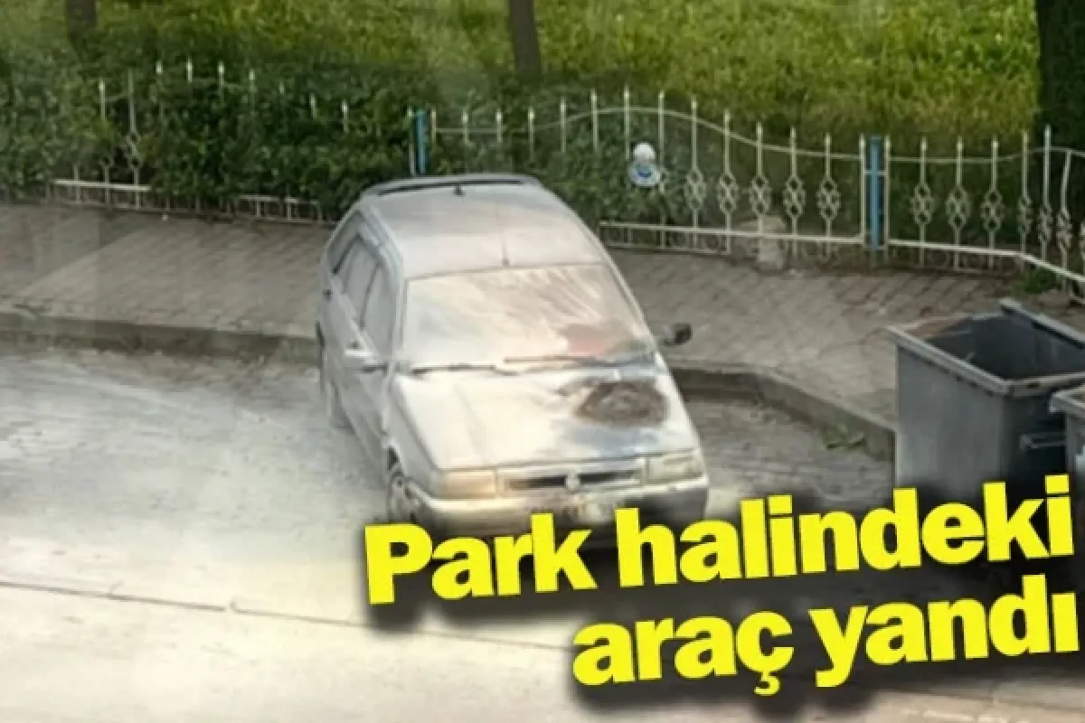 Park halindeki araç yandı