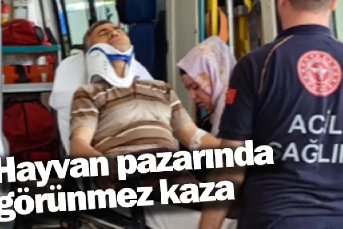 Hayvan pazarında görünmez kaza