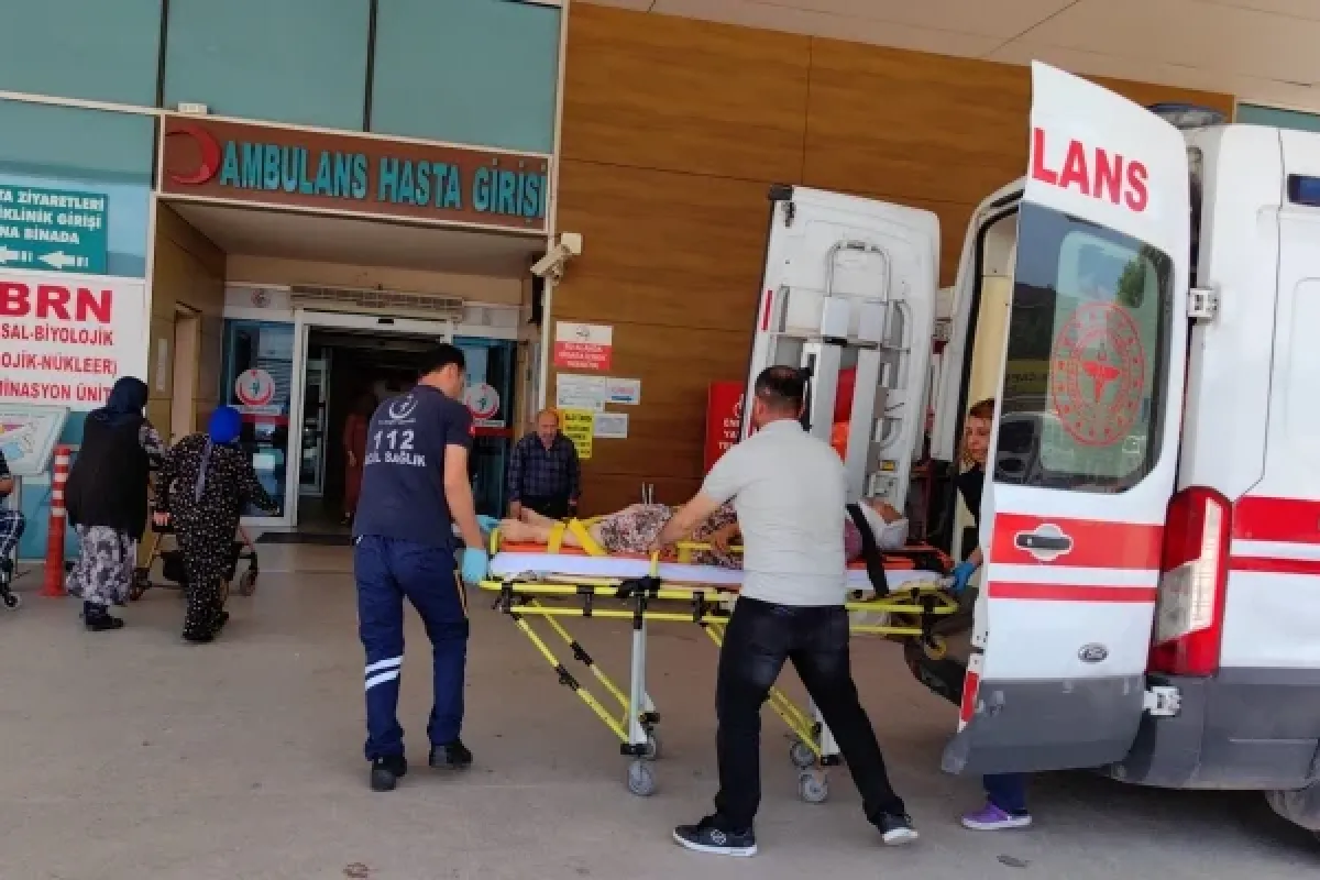 Armut ağacından düştü