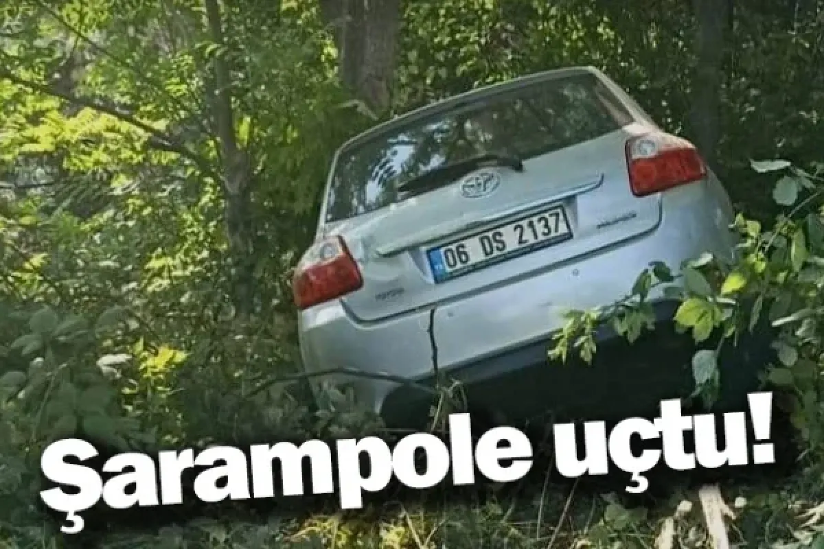 Şarampole uçtu!
