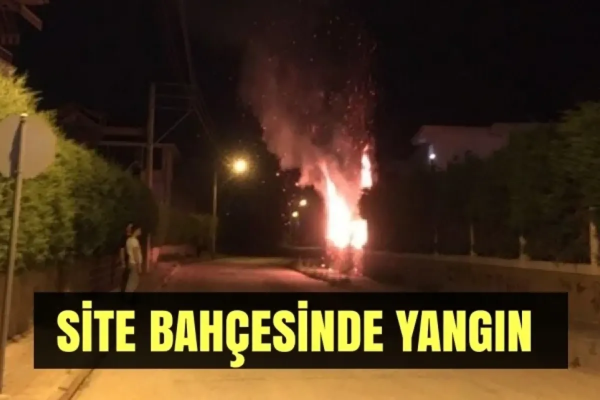 Site bahçesinde yangın