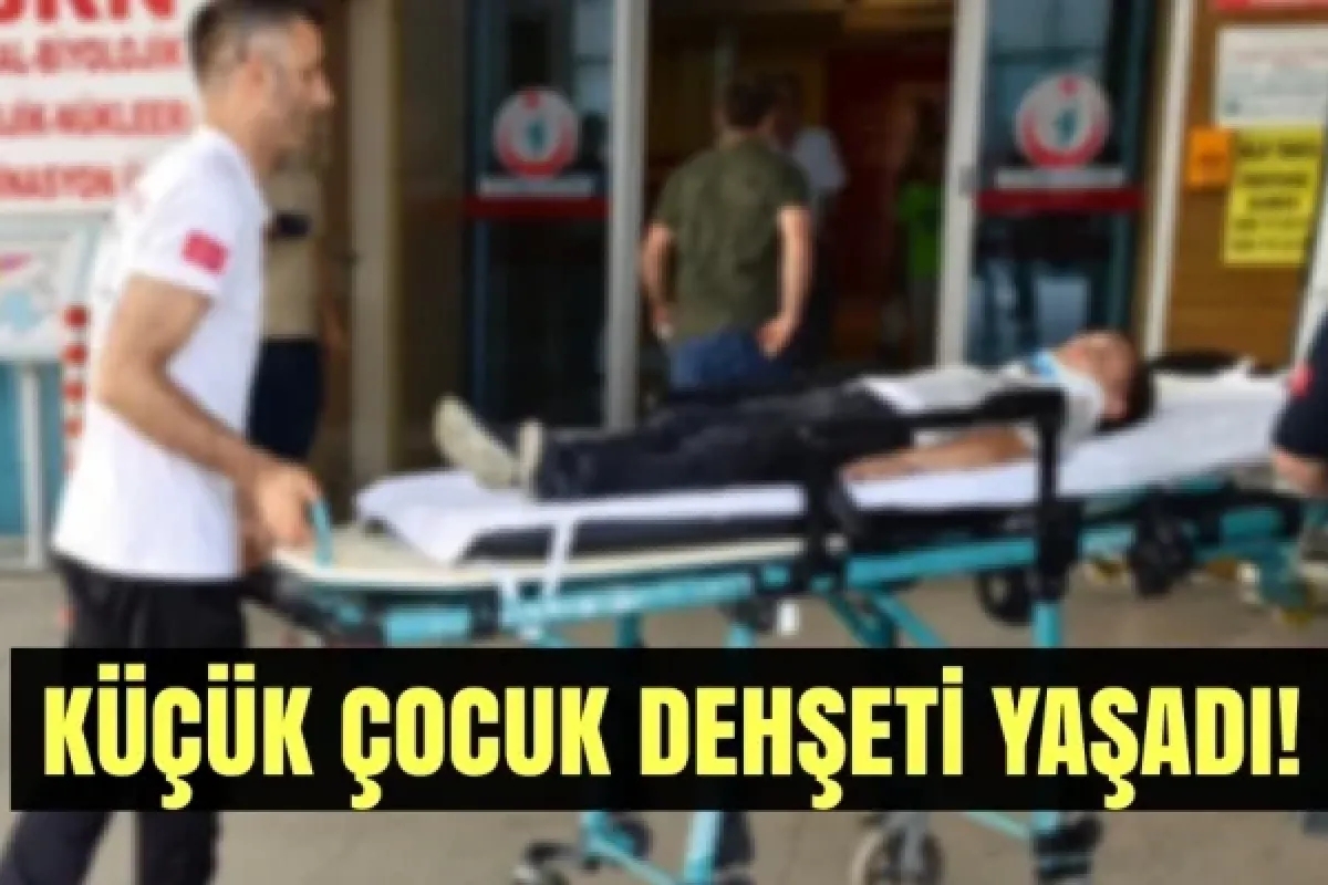 Küçük çocuk dehşeti yaşadı!