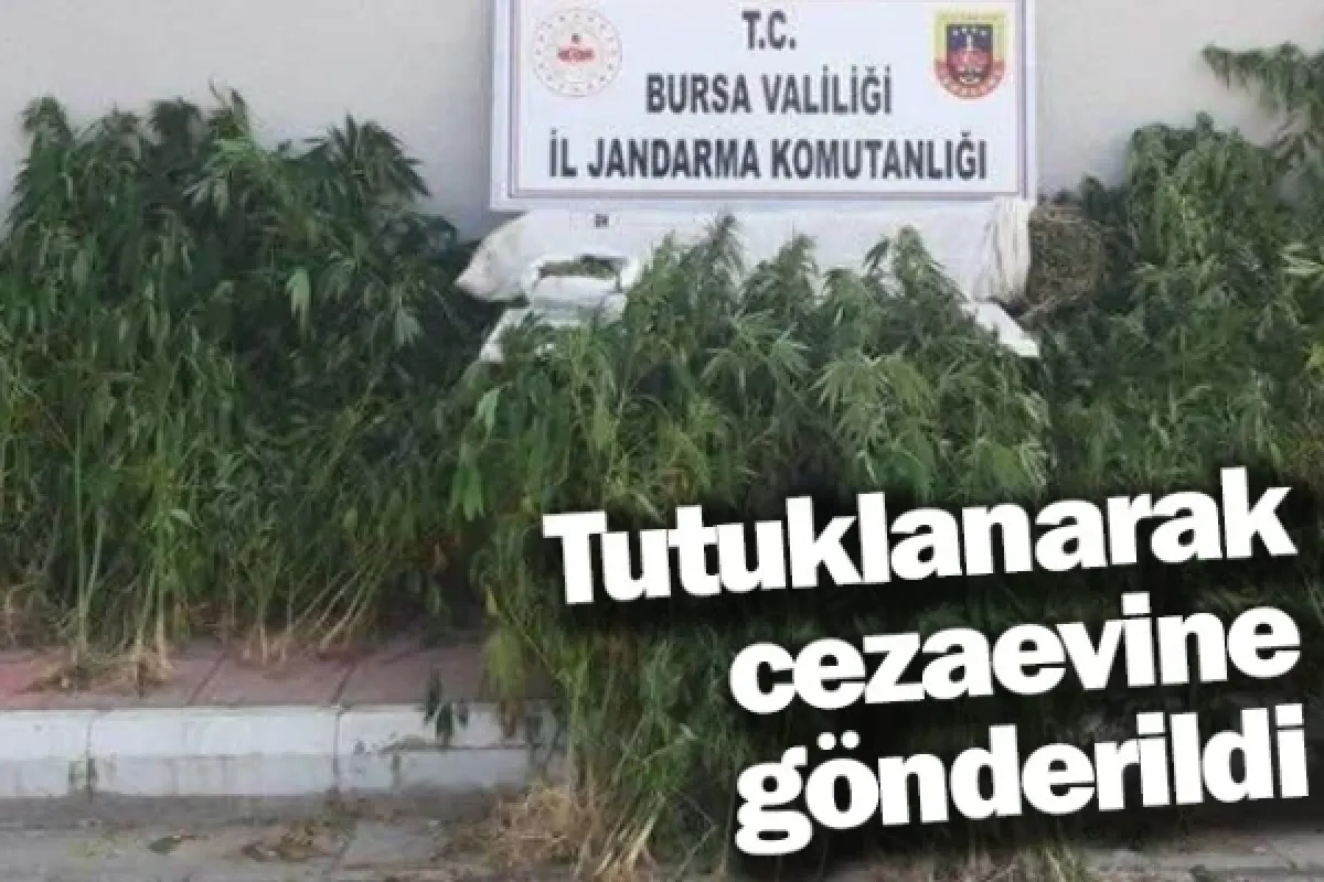 Tutuklanarak cezaevine gönderildi