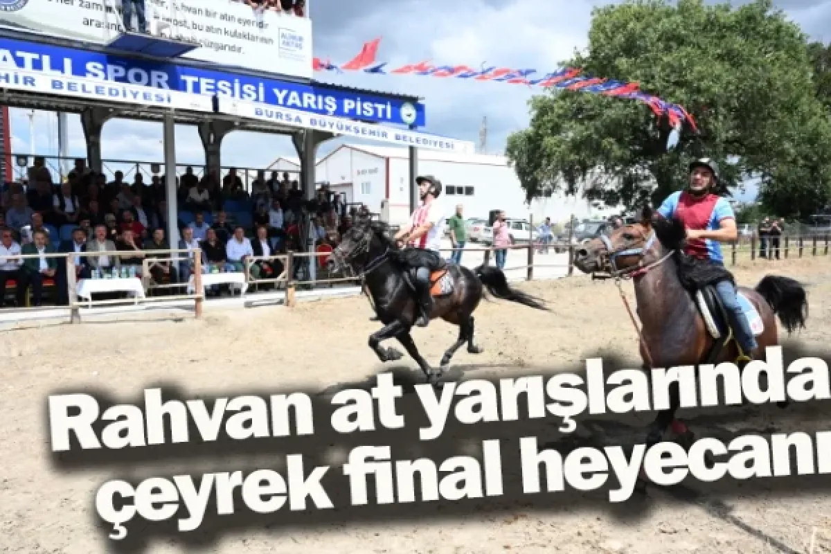 Rahvan at yarışlarında çeyrek final heyecanı