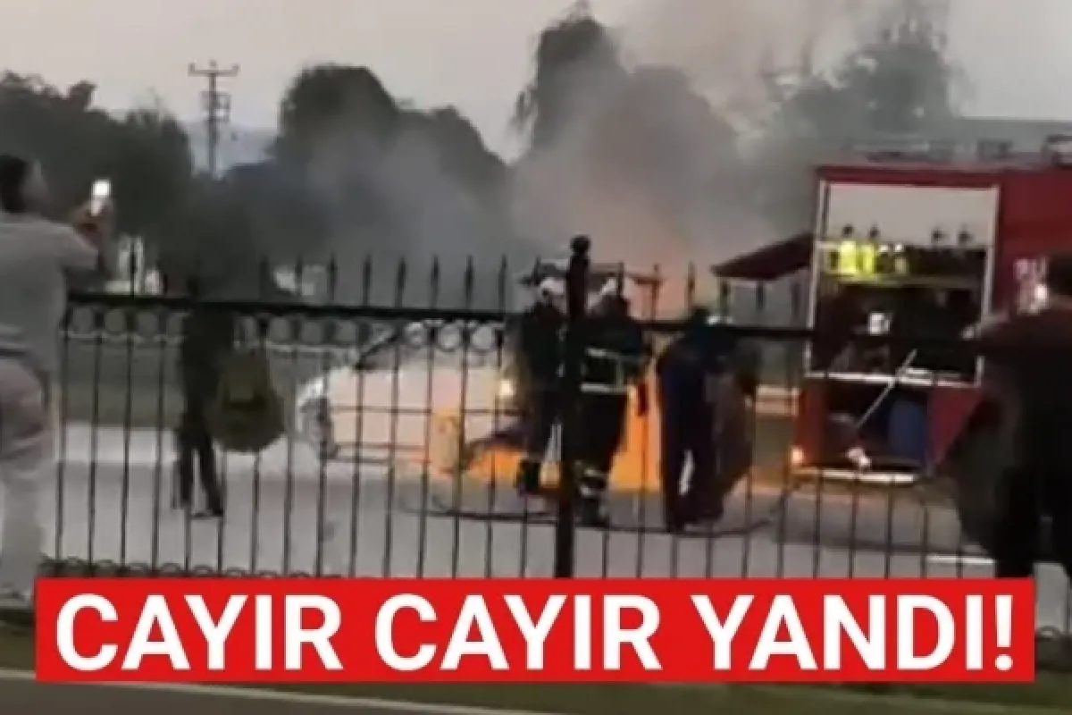 Cayır cayır yandı!
