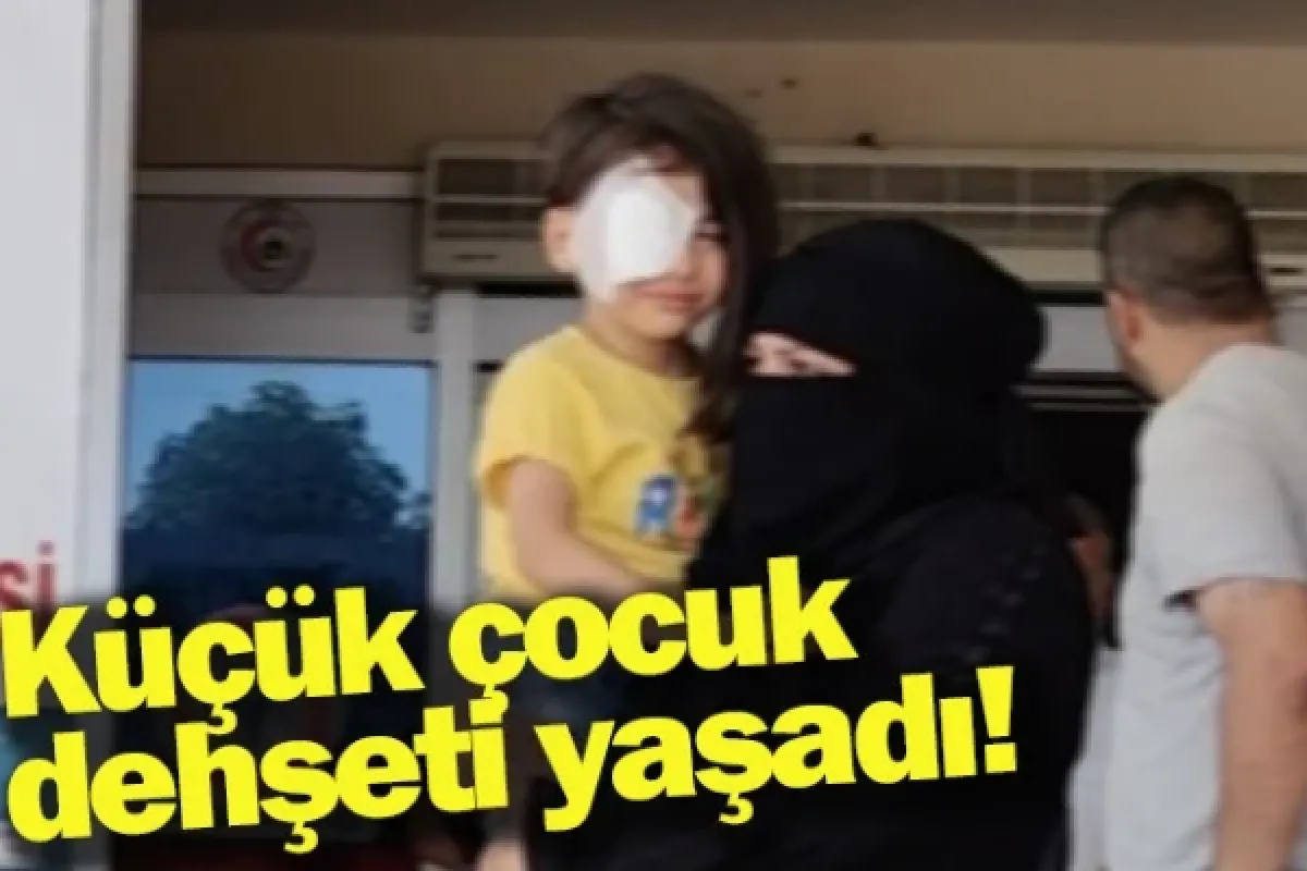 Küçük çocuk dehşeti yaşadı!