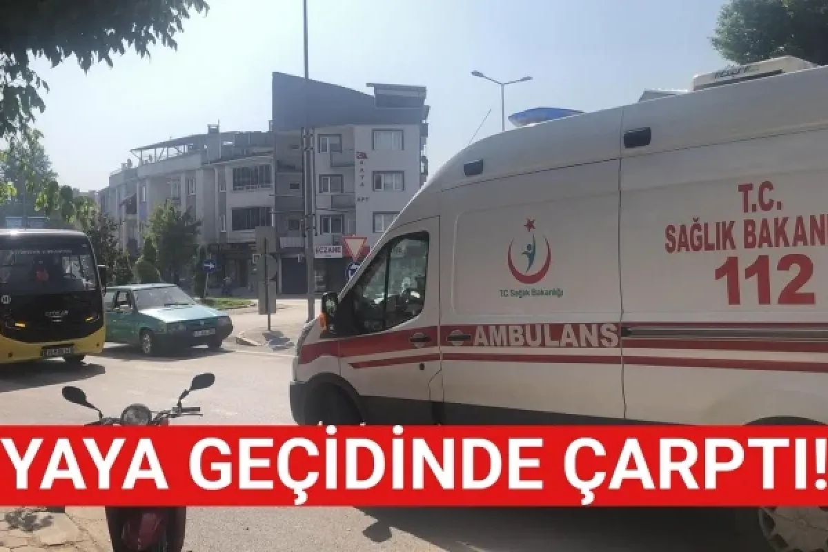 Yaya geçidinde çarptı