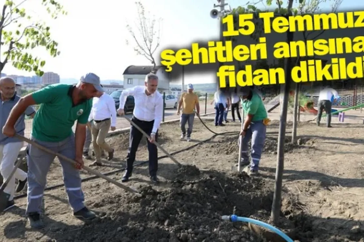 15 Temmuz şehitleri anısına fidan dikildi