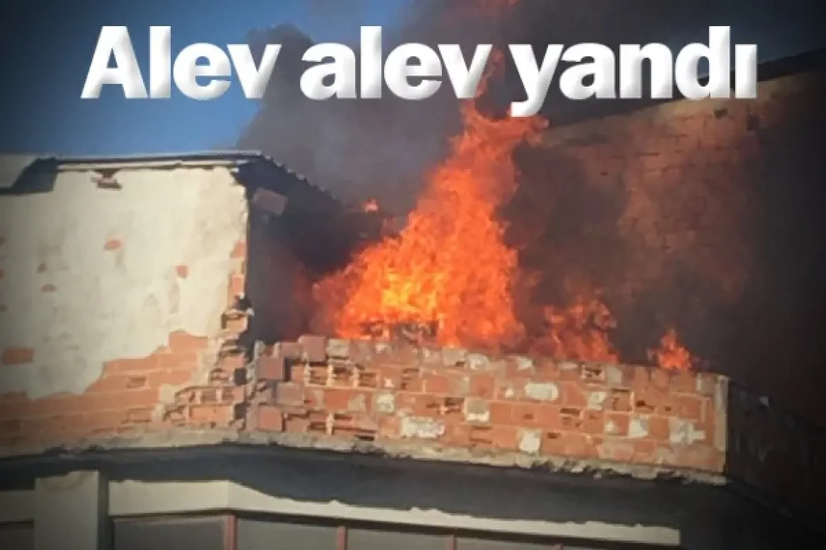 Alev alev yandı