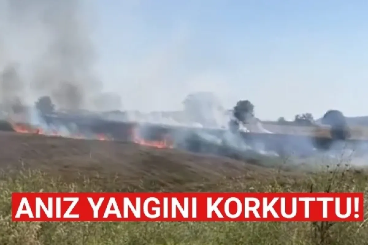 Anız yangını korkuttu