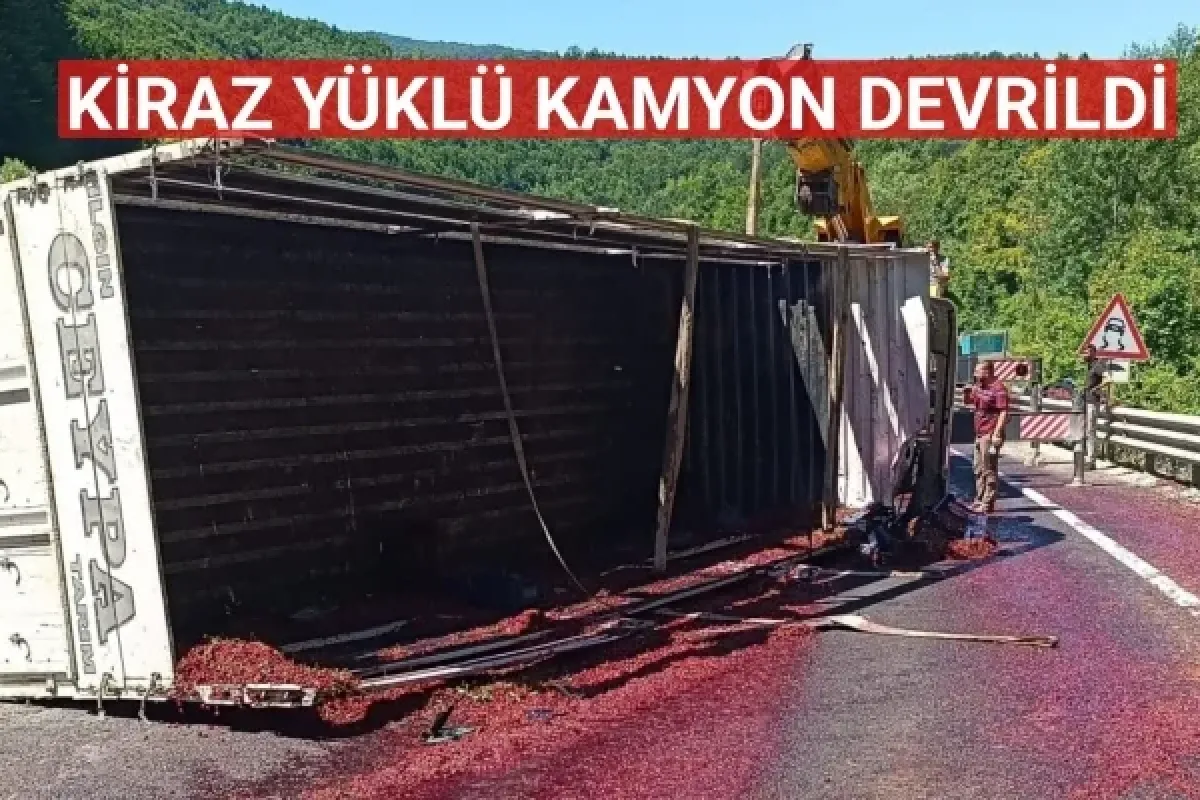 Kiraz yüklü kamyon devrildi
