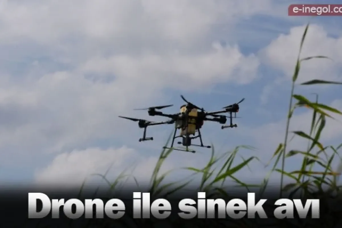 Drone ile sinek avı