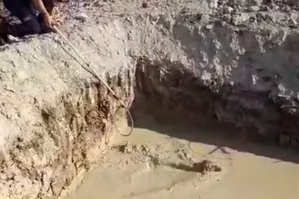 İtfaiye ekipleri kurtardı