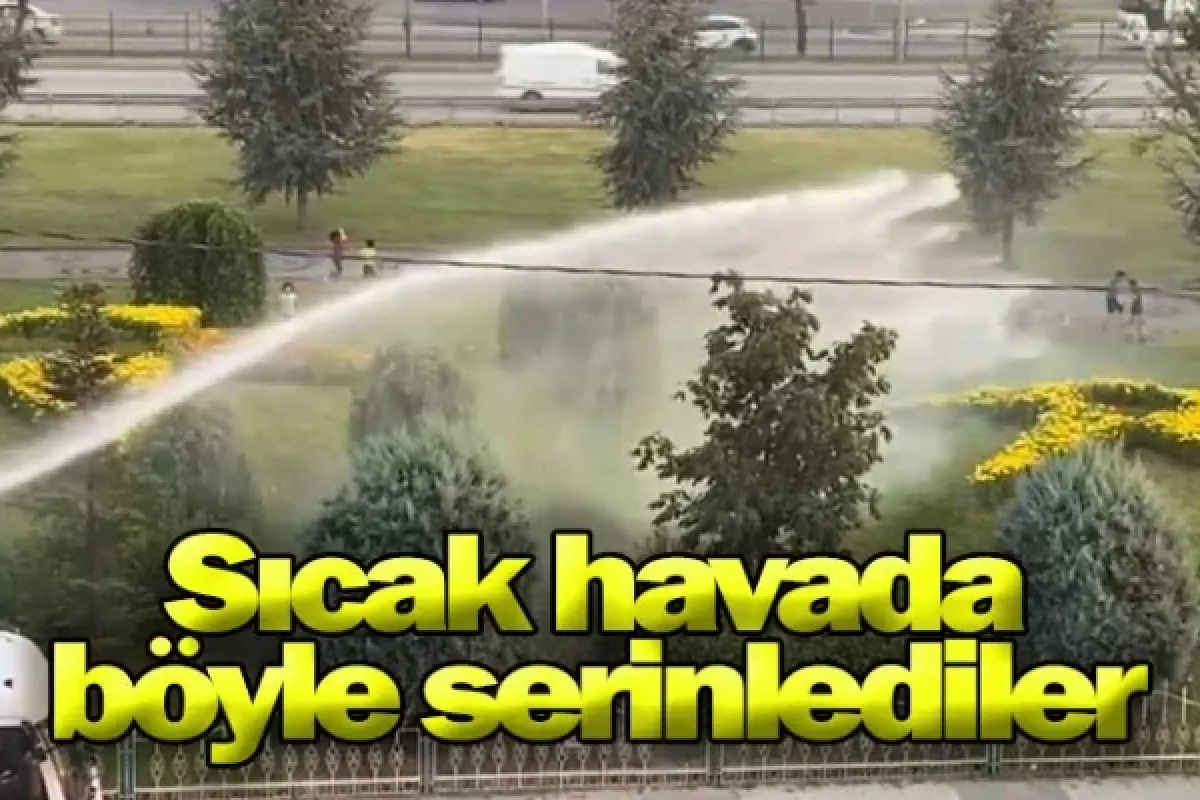 Sıcak havada böyle serinlediler
