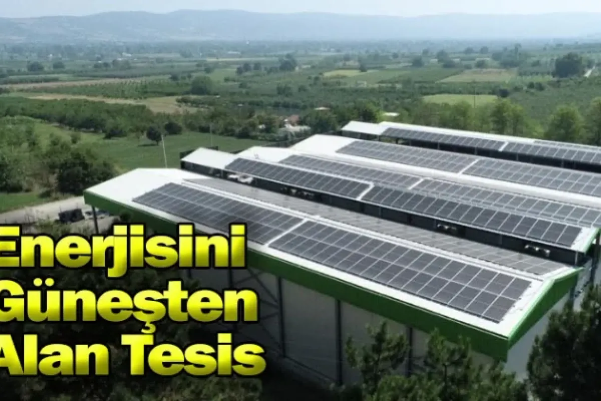 Enerjisini Güneşten Alan Tesis