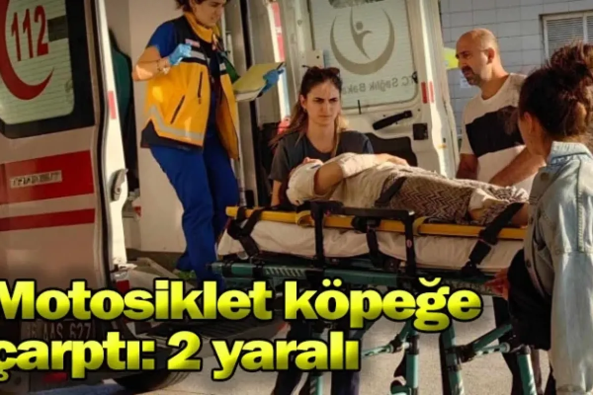 Motosiklet köpeğe çarptı: 2 yaralı